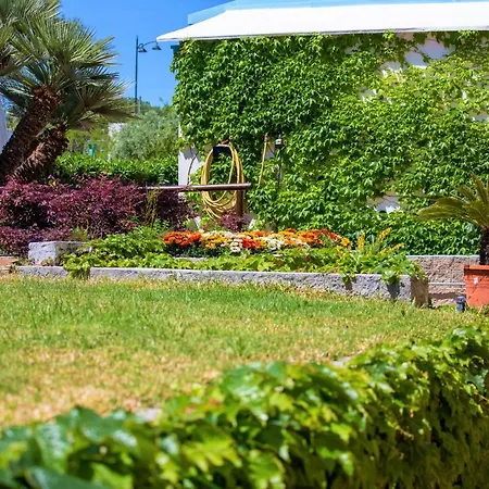 Готель La Mandorla Barano d'Ischia