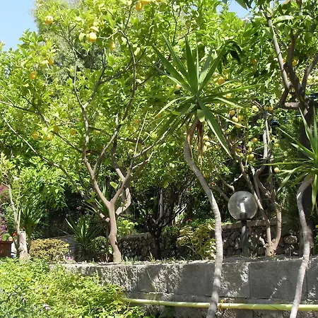 La Mandorla Barano d'Ischia